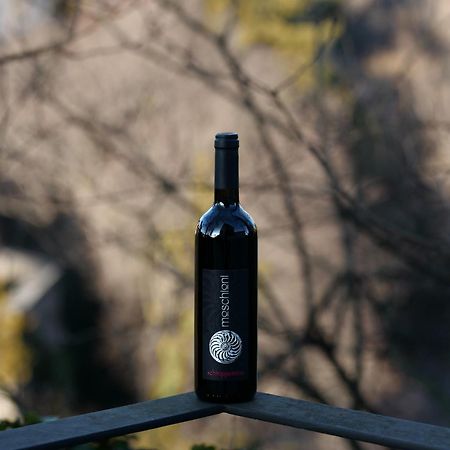 Azienda Agricola Moschioni Cividale del Friuli Kültér fotó