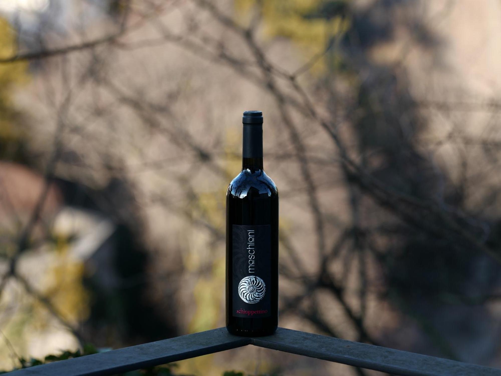 Azienda Agricola Moschioni Cividale del Friuli Kültér fotó